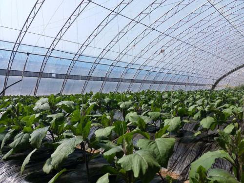 受阻胺光稳定剂292可用在uv涂料里吗