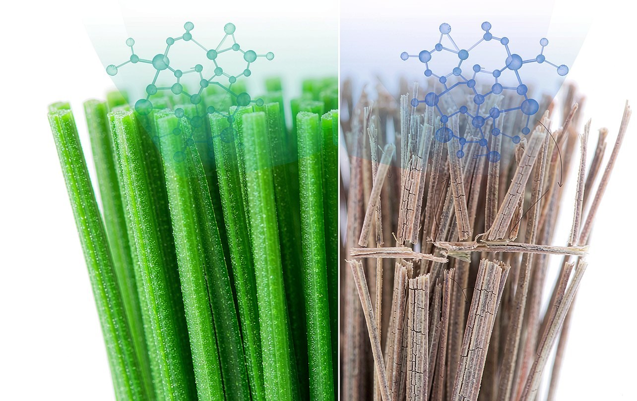 人造草丝老化前后对比:分子链断裂、粉化与褪色